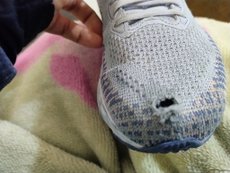 review-1