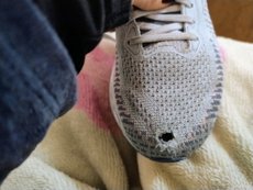 review-2