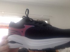 review-1
