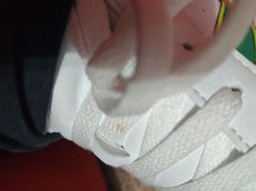 review-0